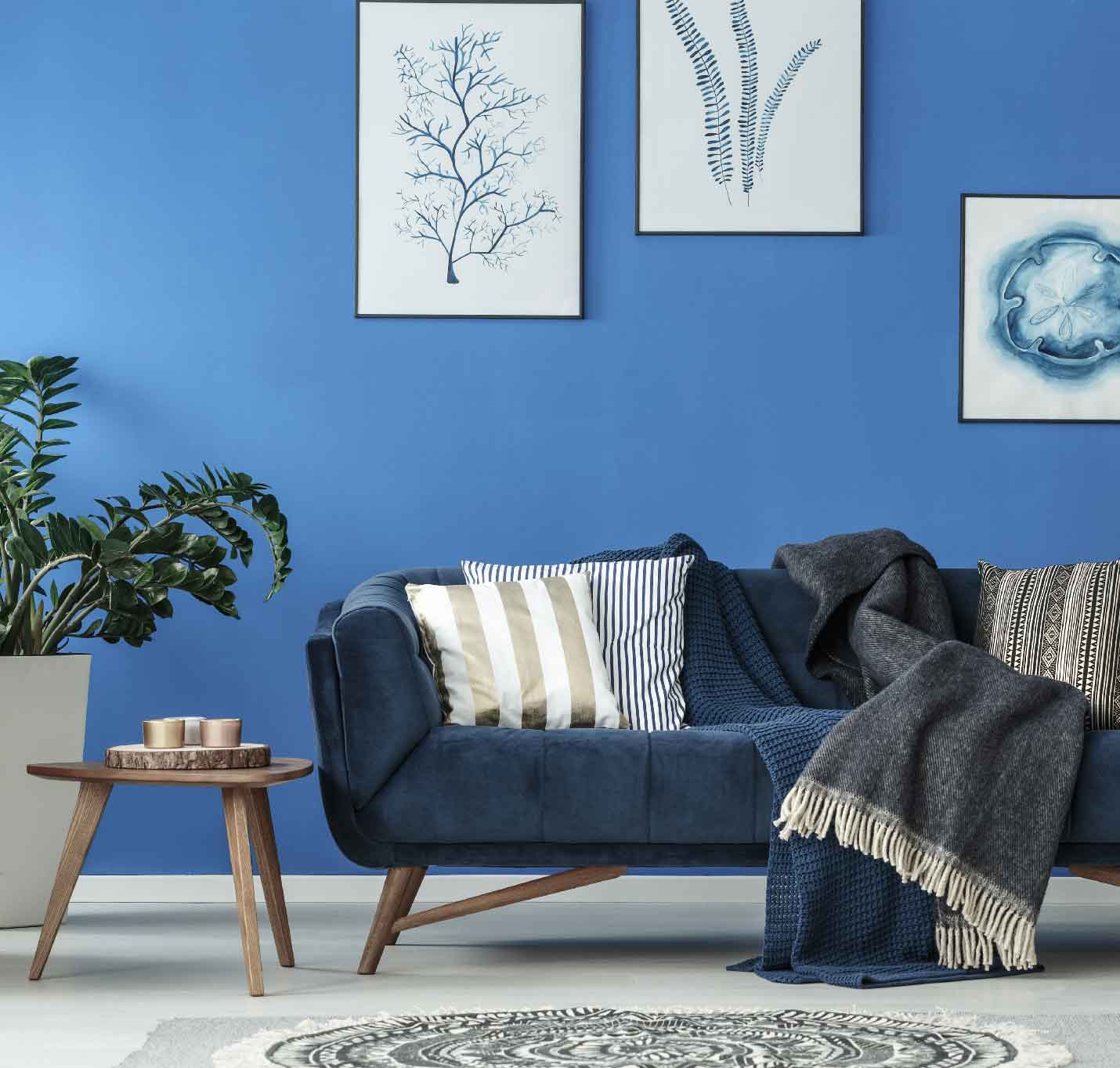 Alora Blue